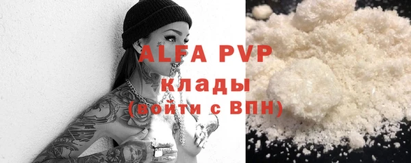 индика Балахна