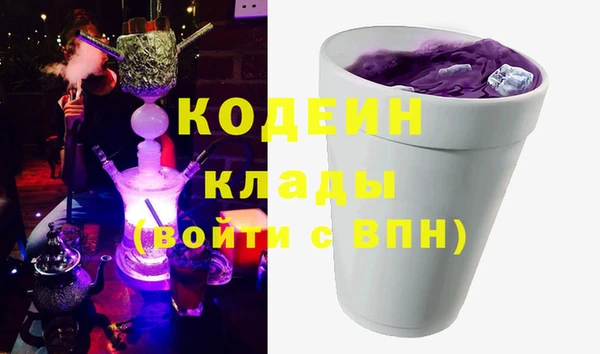 индика Балахна