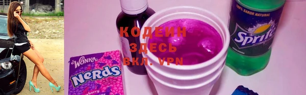 индика Балахна
