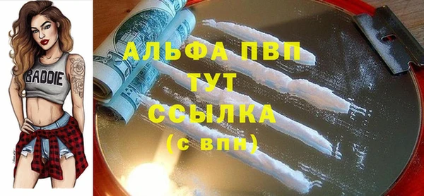 индика Балахна