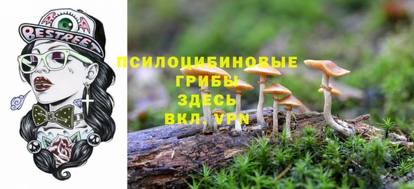 спайс Балабаново