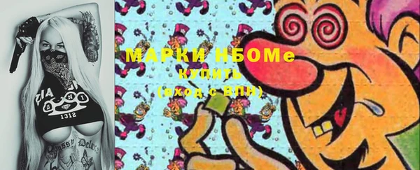 индика Балахна