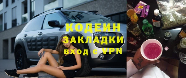 индика Балахна