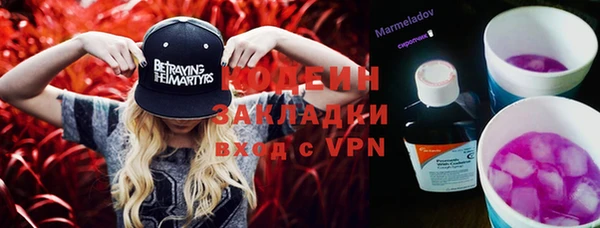 индика Балахна